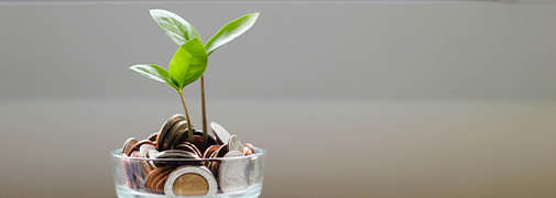 growing a plant in a jar of money
